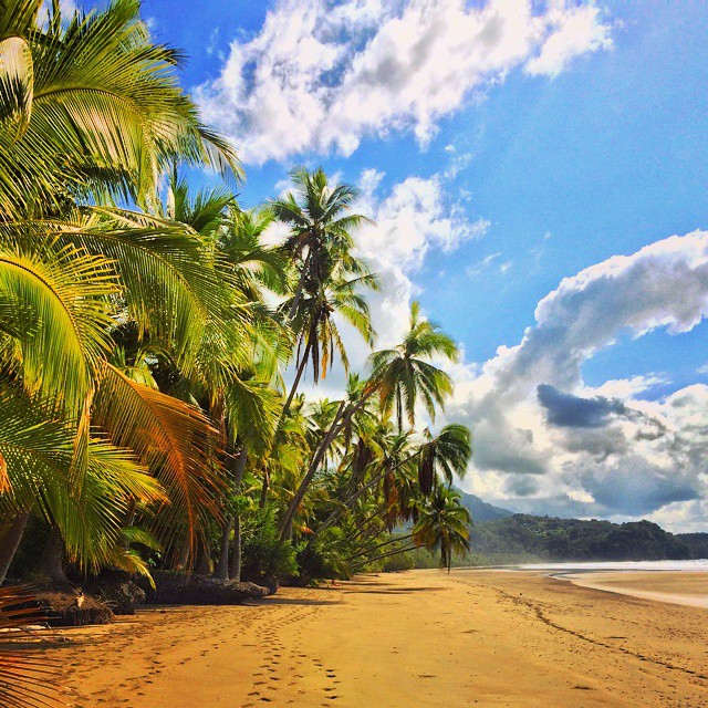 Uvita beach. I don’t have any pictures of Jesus but you all know what he looks like.